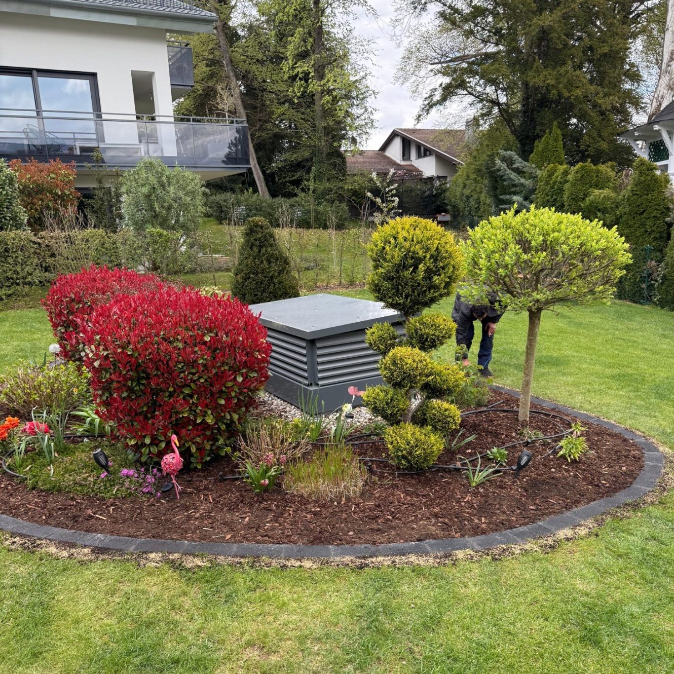 Blumenbeet Nachher Gepflegtes Blumenbeet im Graten