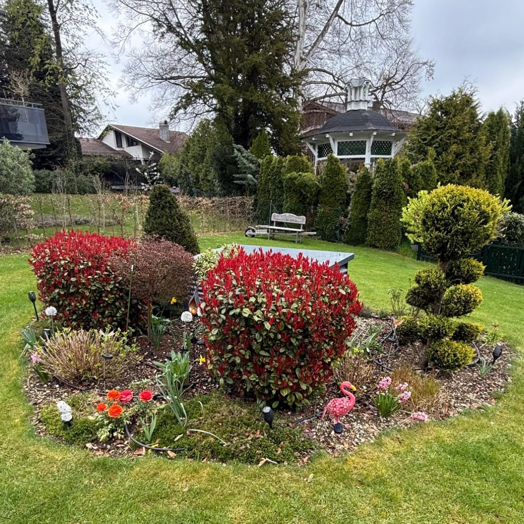 Vorherbild Blumebeet ungepflegtes Blumenbeet im Garten